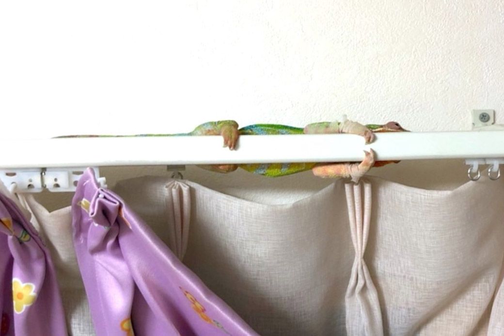 （写真：山村さん提供）