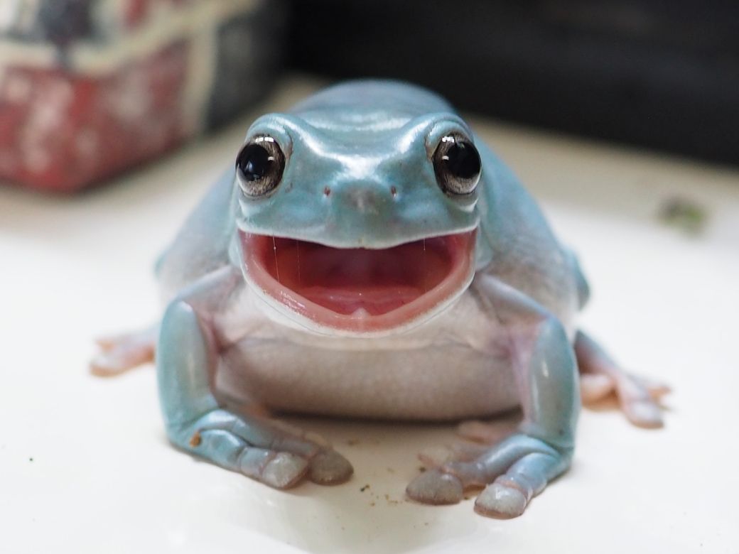 （写真提供：ぴよさん）