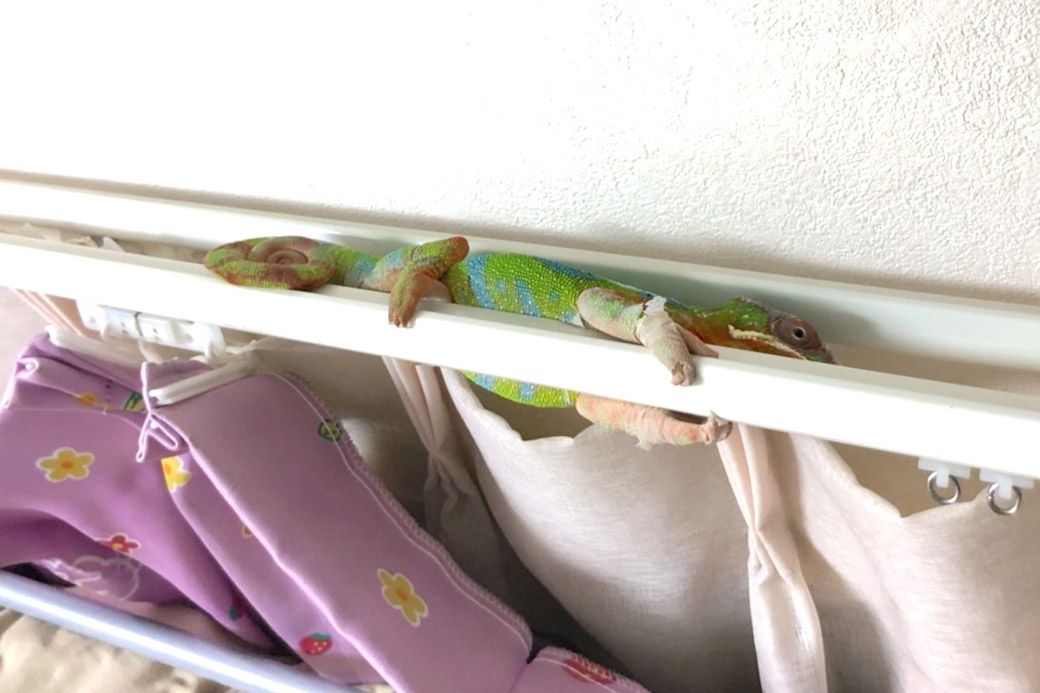 （写真：山村さん提供）