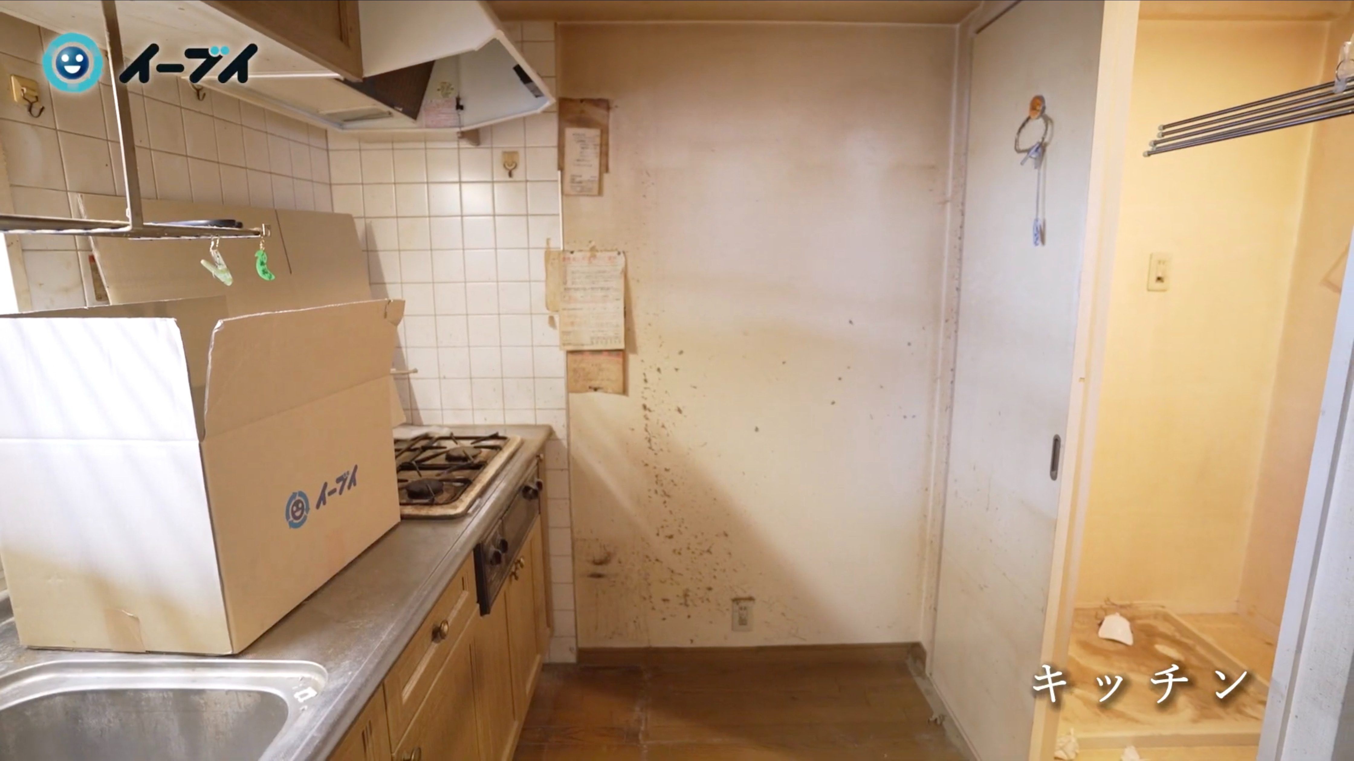 ゴミ屋敷