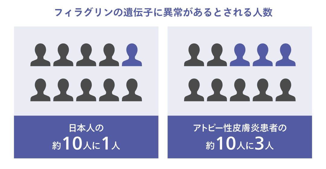 フィラグリンの遺伝子に異常があるとされる人数