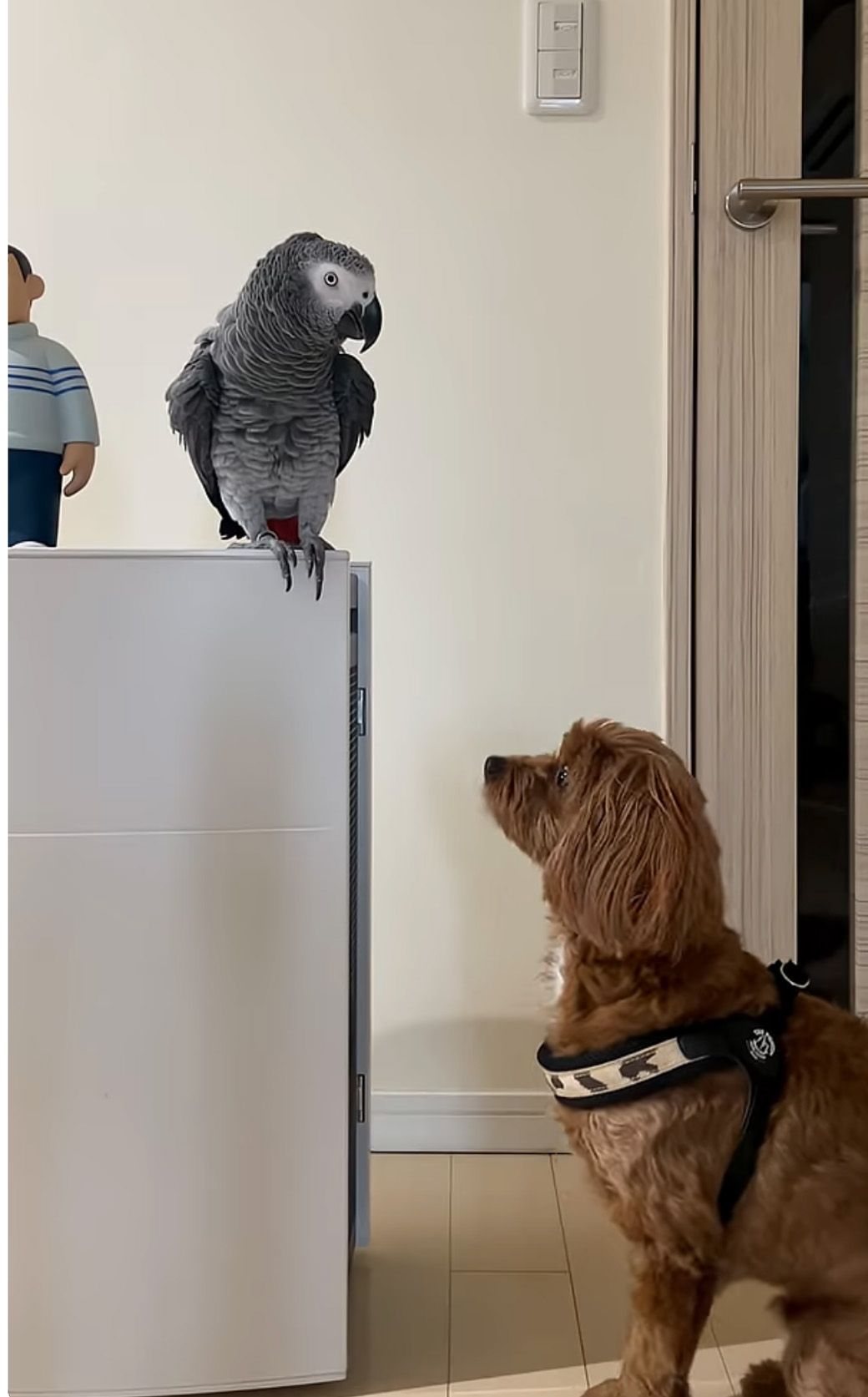 （写真提供：カマタさん）