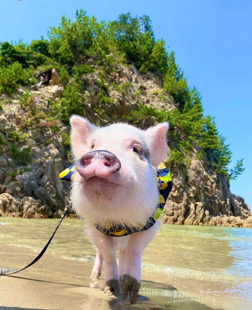 夏には一緒に海にも出かけた（写真提供：しおりさん）