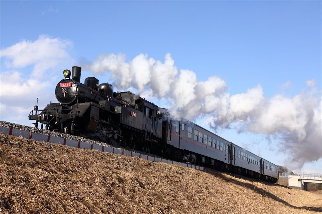 真岡鉄道で動態保存されているC12形66号機（撮影：南正時）