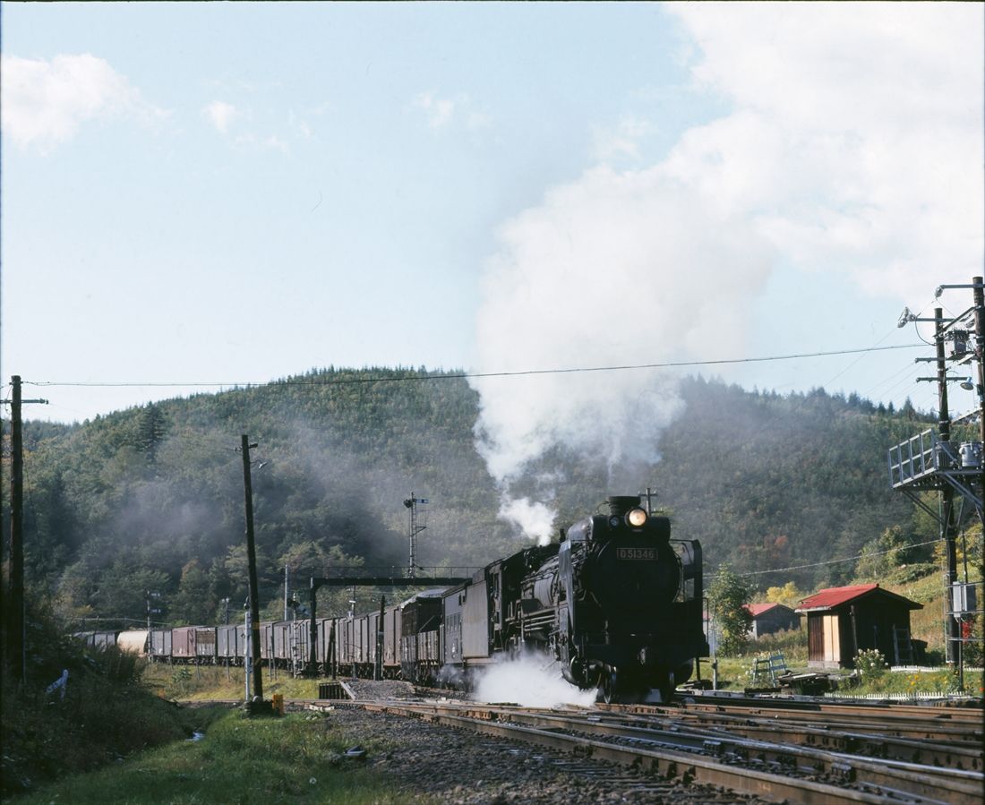 石北本線の常紋越えに挑むD51形牽引の貨物列車＝1973年（撮影：南正時）