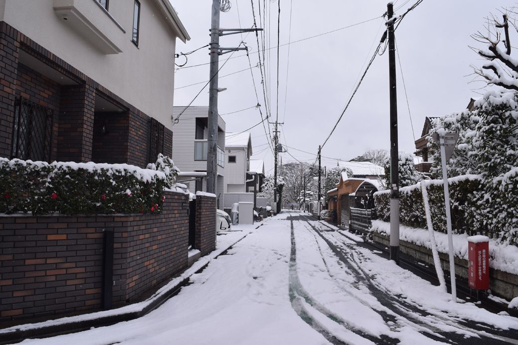 線路沿いから1本入ると、趣きのある戸建てが並んでいた（写真：筆者撮影）
