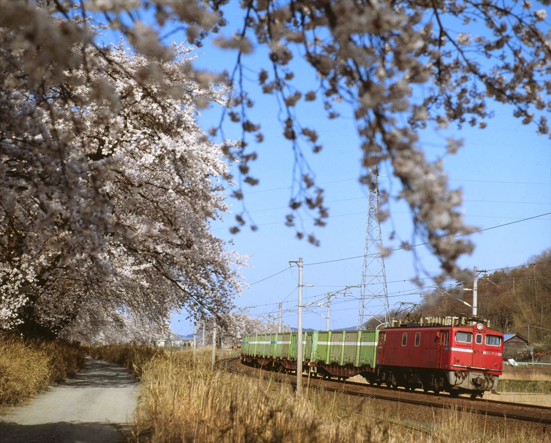 東北本線大河原付近を走るED71形牽引の貨物列車（撮影：南正時）