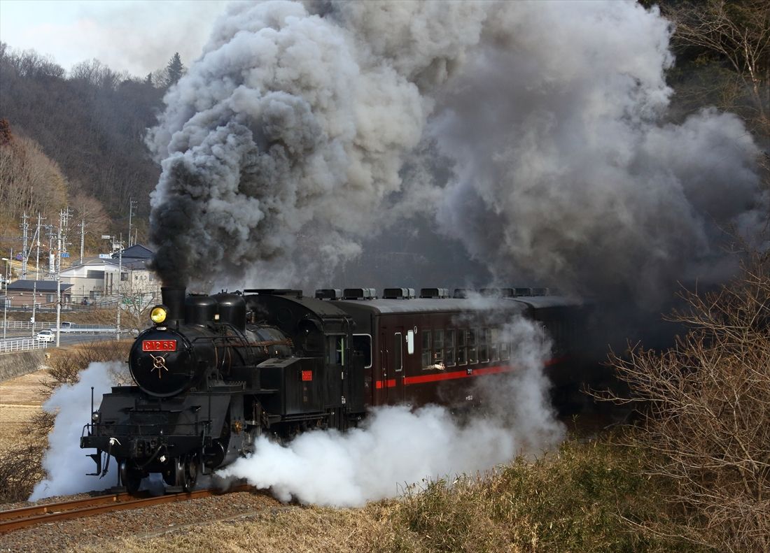 真岡鉄道で動態保存されているC12形66号機（撮影：南正時）