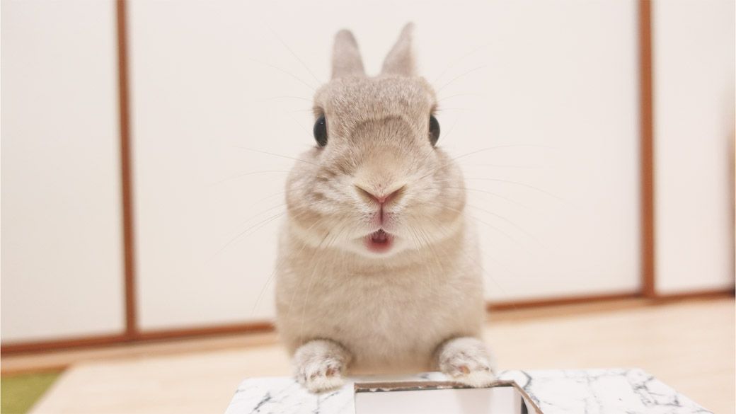 （写真：やすさん提供）