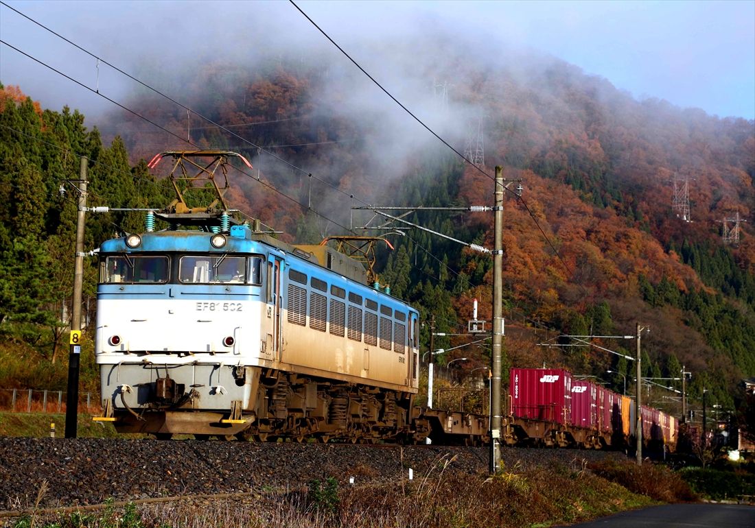 雨上がりの紅葉が映えるカラーリングのEF81形500番台。青の濃淡と白に近いグレーの塗り分け塗装でEF81形のイメージを一新した（撮影：南正時）