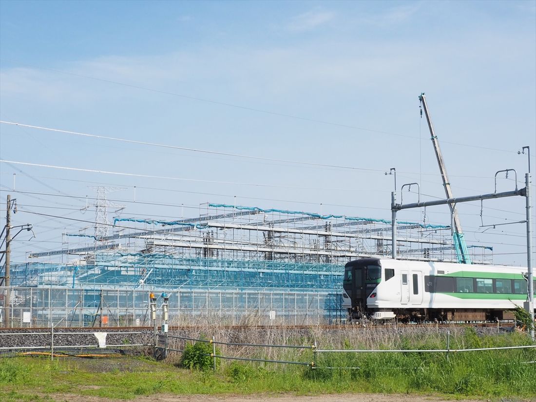 古利根川橋梁付近の仮線を走る特急列車（記者撮影）