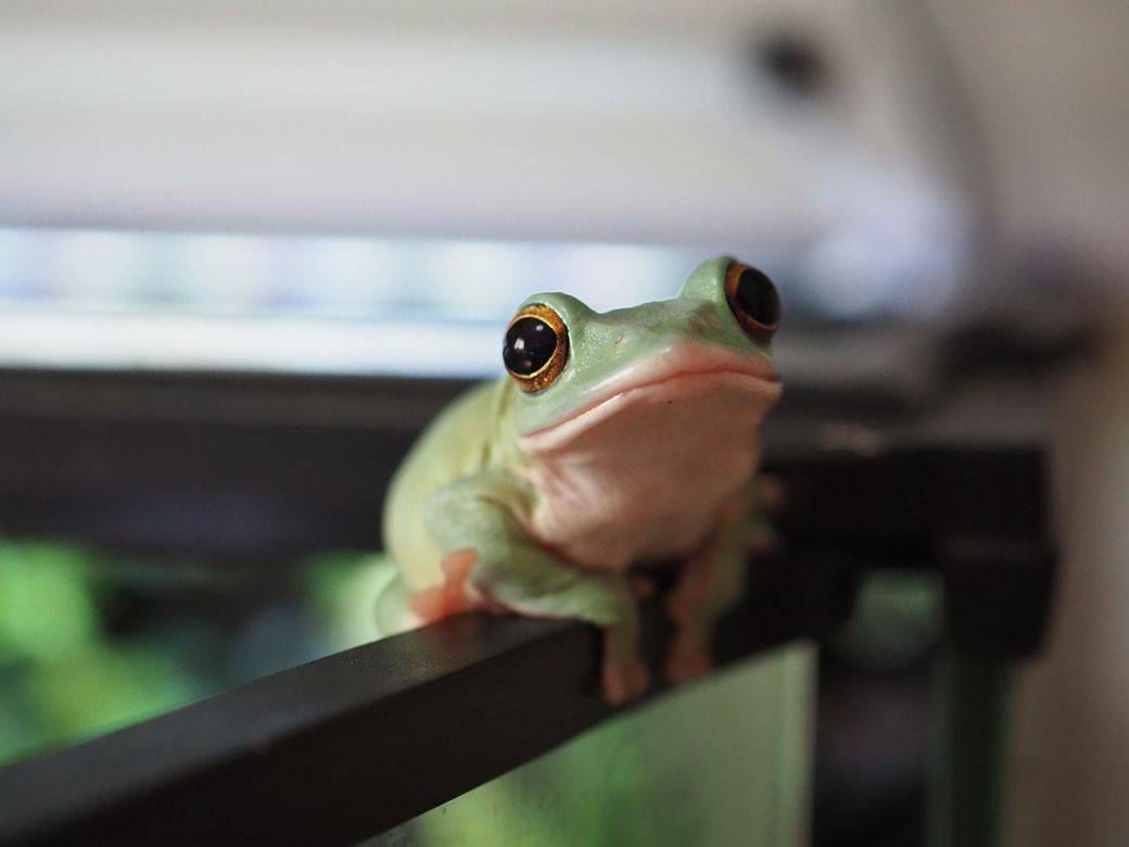 （写真提供：ぴよさん）