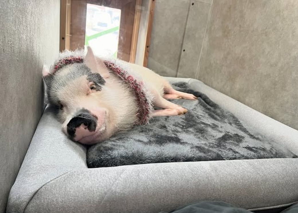 （写真提供：しおりさん）