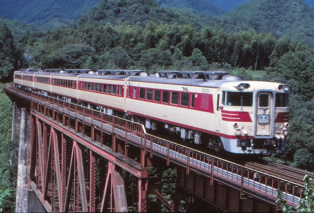 紀勢本線三瀬谷付近を走る特急「南紀」（撮影：南正時）