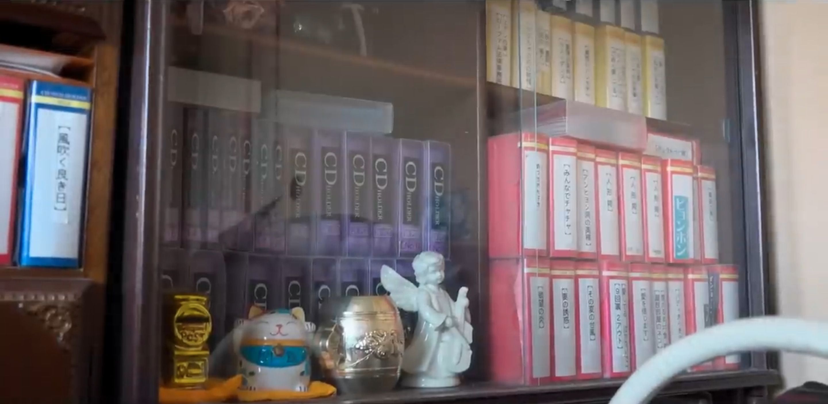 住人の女性が好きで集めていたというDVDのコレクション（写真：「イーブイ片付けチャンネル」より）