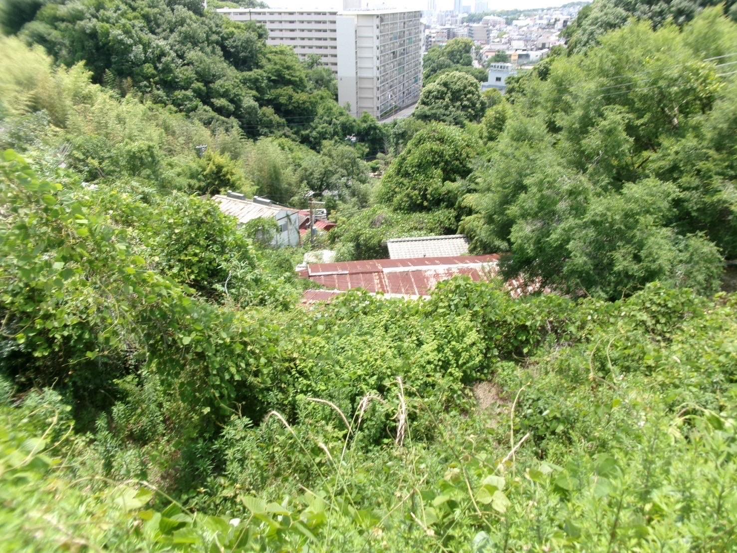 神戸市長田区の急傾斜地域に西村組が手を入れている一画（写真中央）があり、菅野さんが譲渡されたのもそのうちの一軒（写真：菅野さん提供）