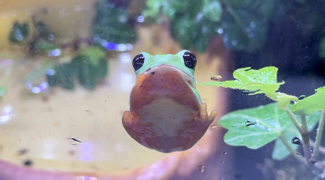 （写真提供：ぴよさん）