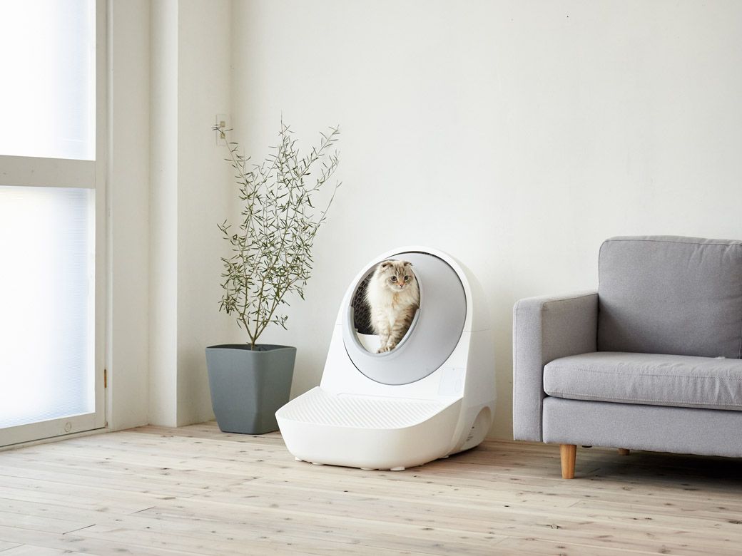 （写真：オーエフティー）