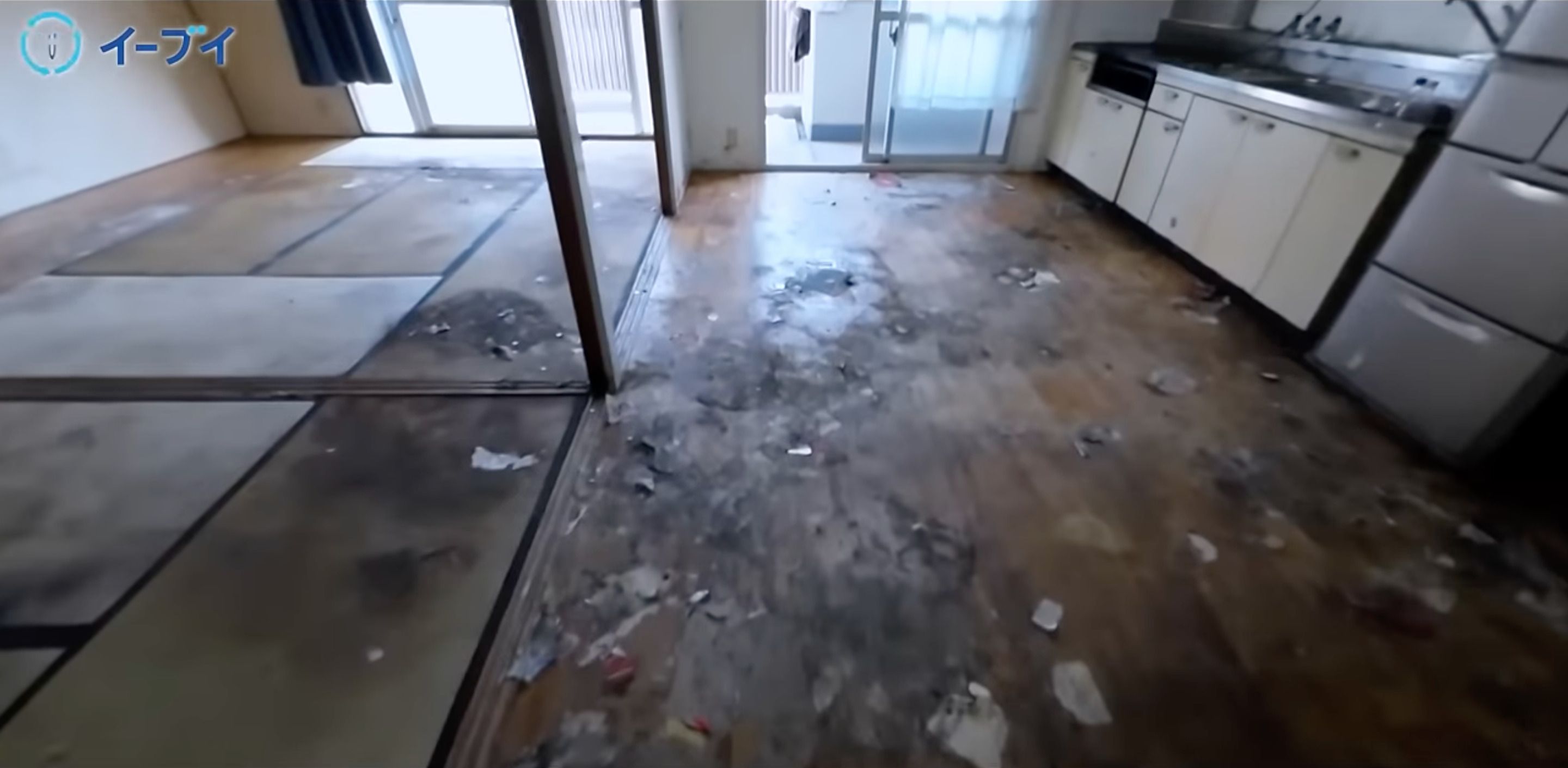 ゴミ屋敷