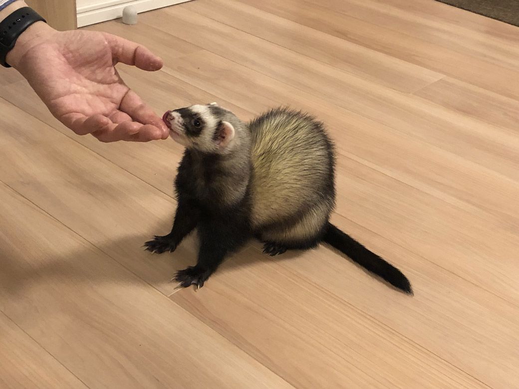 （写真提供：ミキさん）