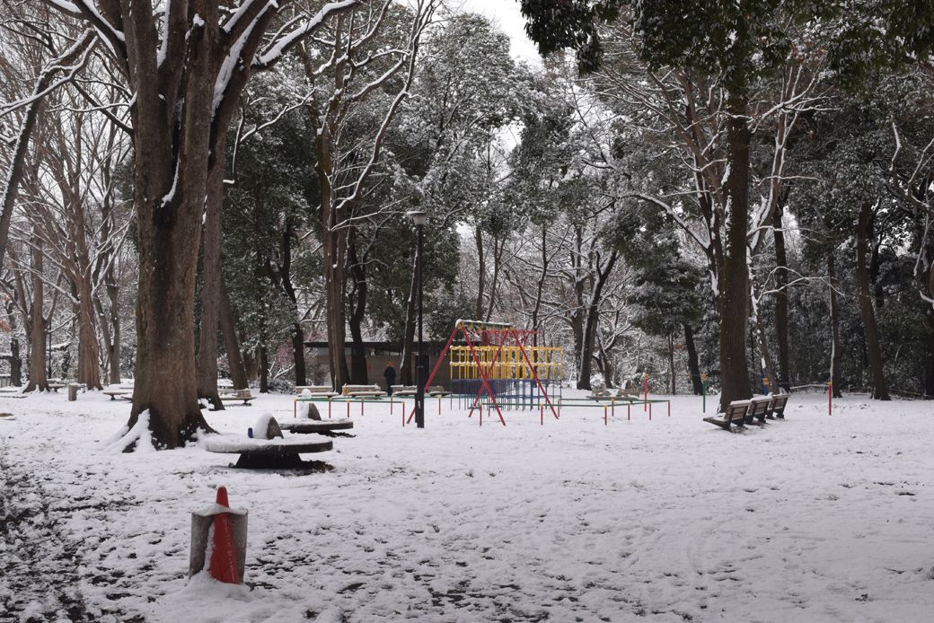 木々に囲まれた石神井公園の遊具コーナー（写真：筆者撮影）