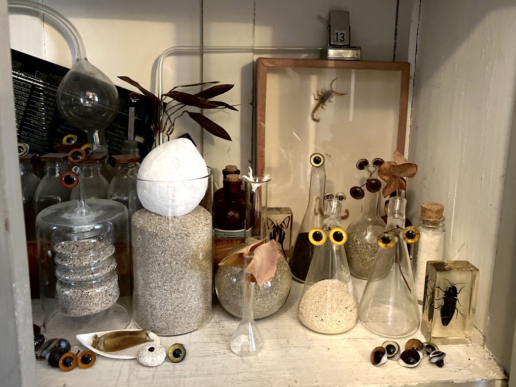 ぬいぐるみの目のコレクション（筆者撮影）