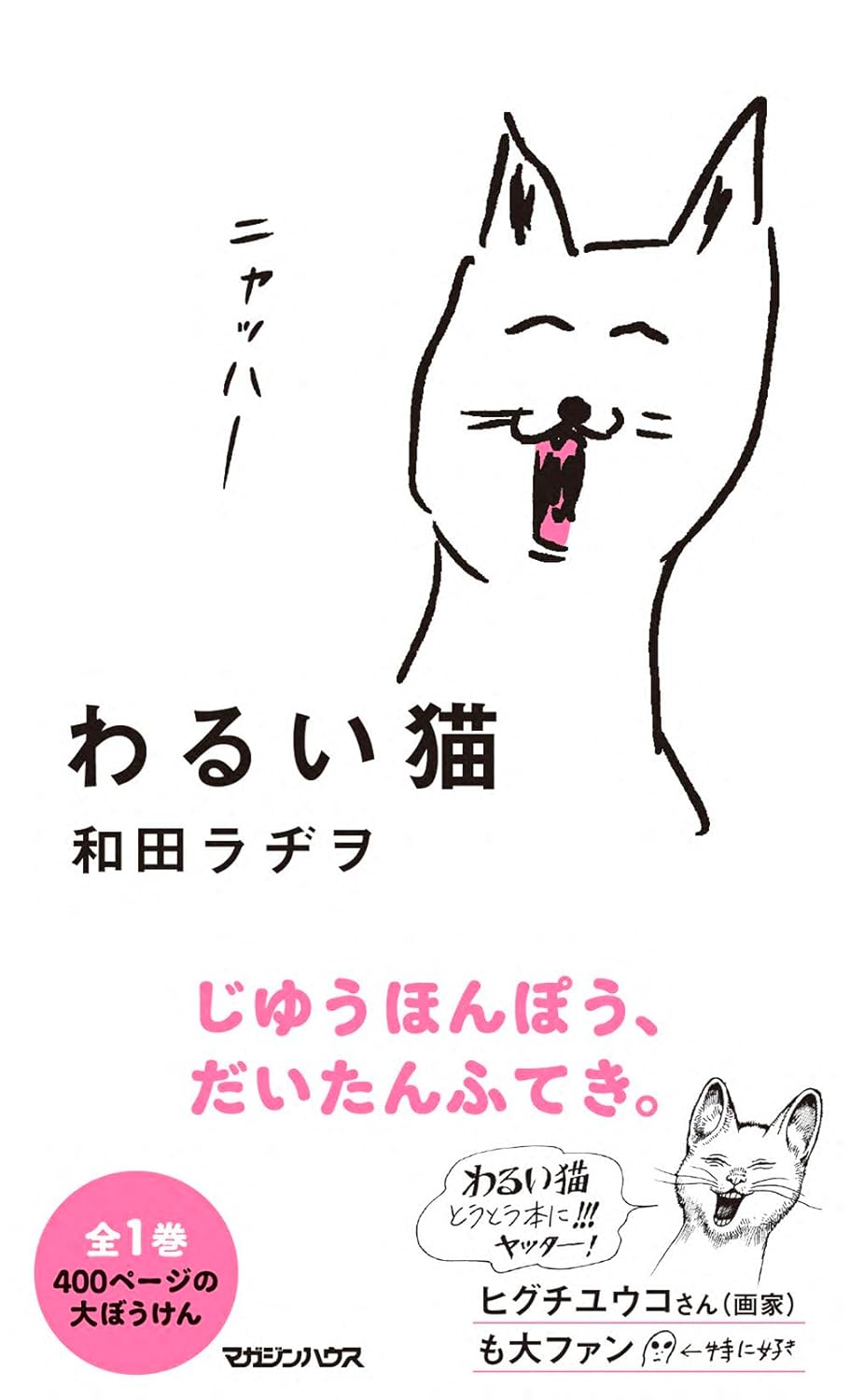 わるい猫