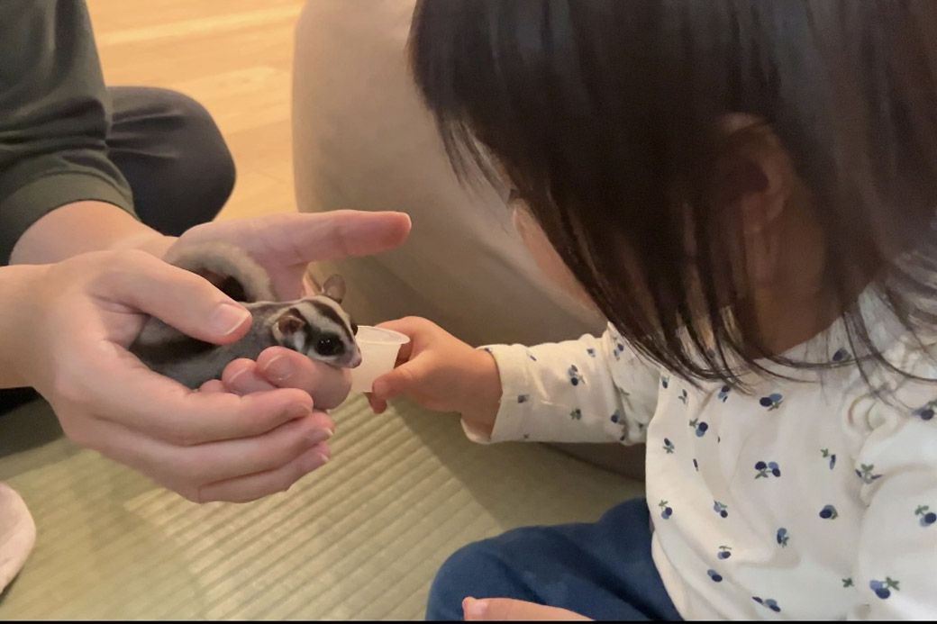 フクモモと優しく触れ合う3歳の娘さん。教えたわけではないのに、自然と動物との触れ合い方を学んでくれた。（写真提供：ひろさん）
