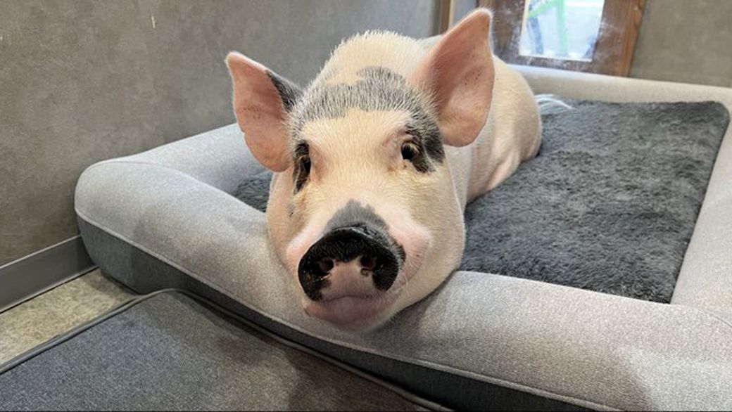 （写真提供：しおりさん）