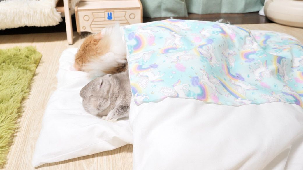 （写真：やすさん提供）