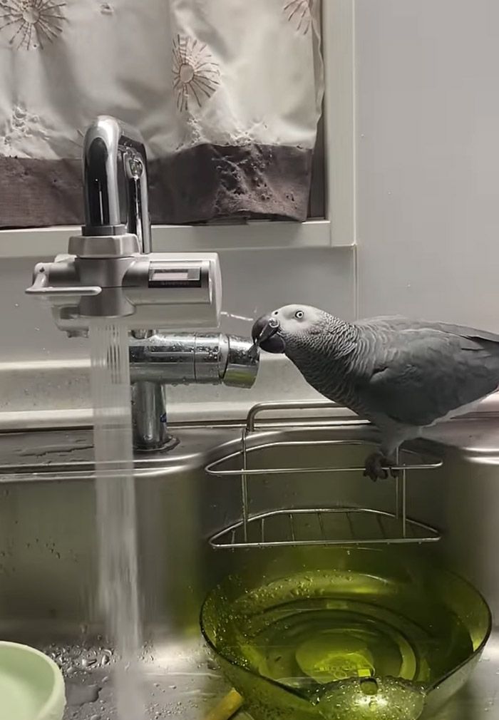 水道を出せても締めることはできない（写真提供：カマタさん）