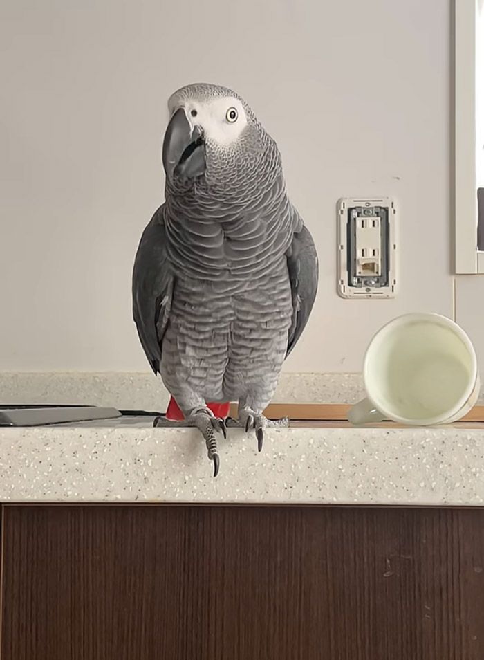 （写真提供：カマタさん）