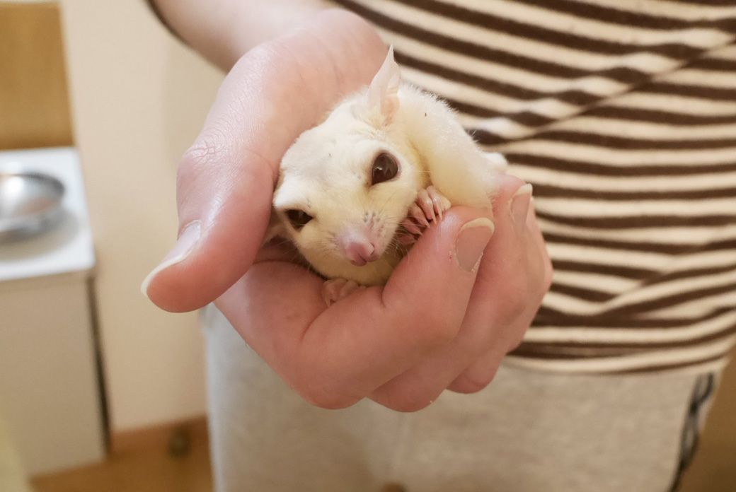 （写真提供：ひろさん）