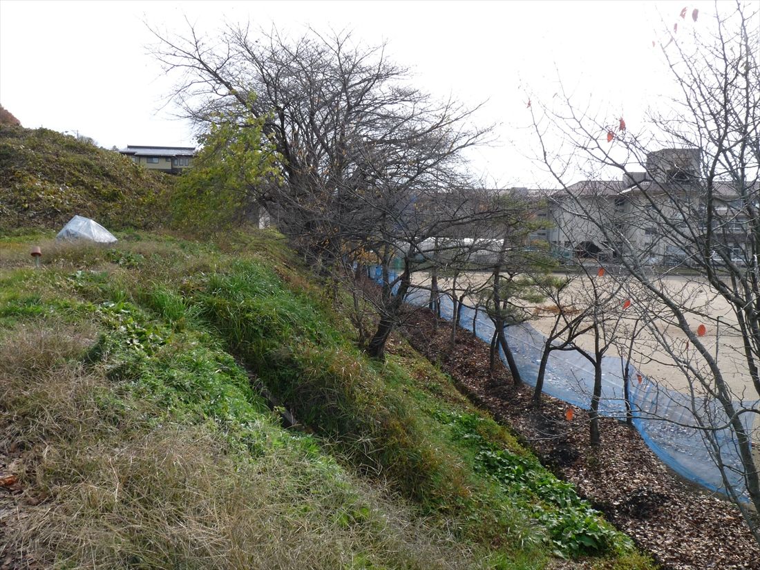 成沢～半郷：蔵王第一中学校のグランド（右）の脇にある小高い場所に蔵王高速電鉄の線路を敷設する計画だった。このあたりから周囲は田畑が増える（筆者撮影）