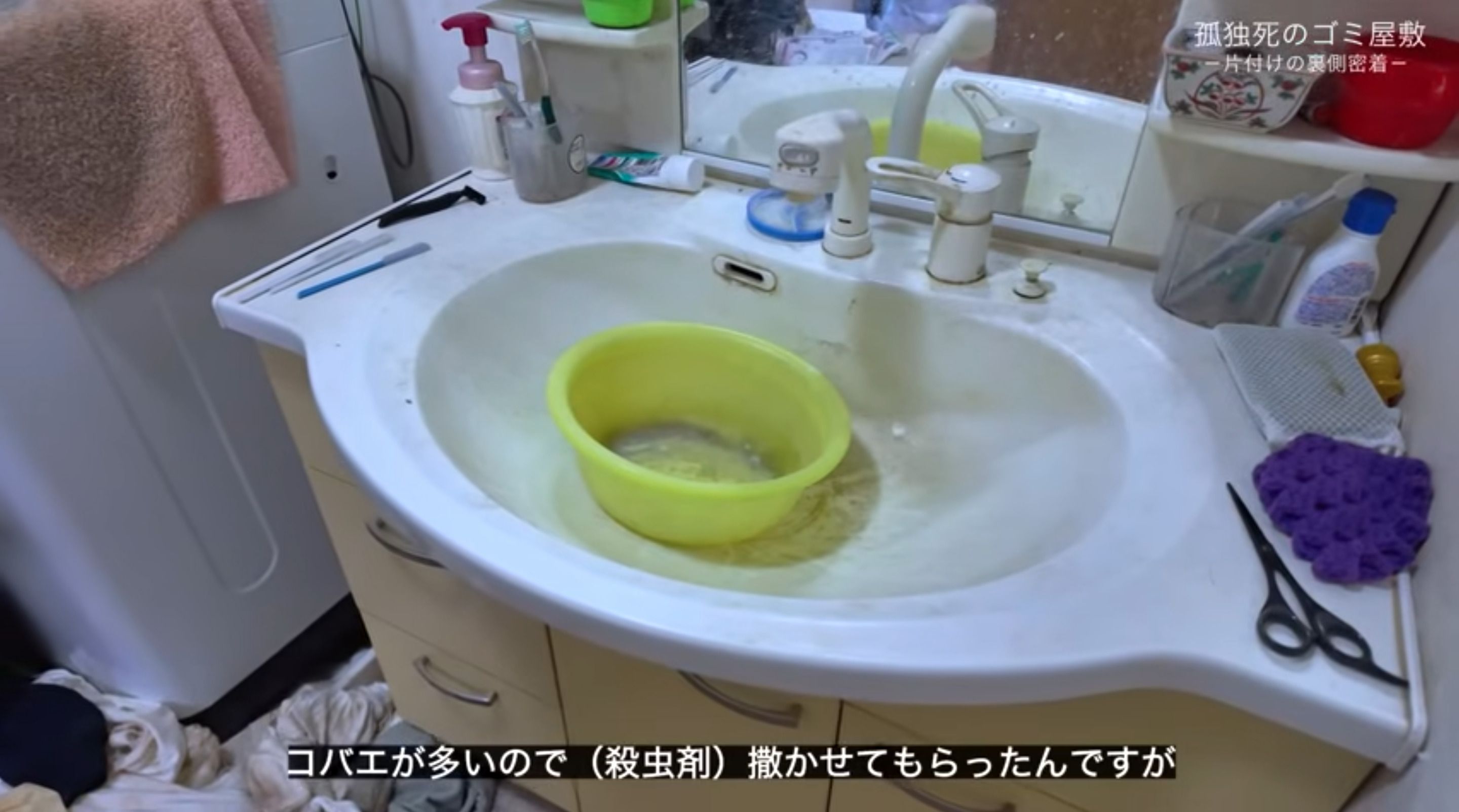 ゴミ屋敷