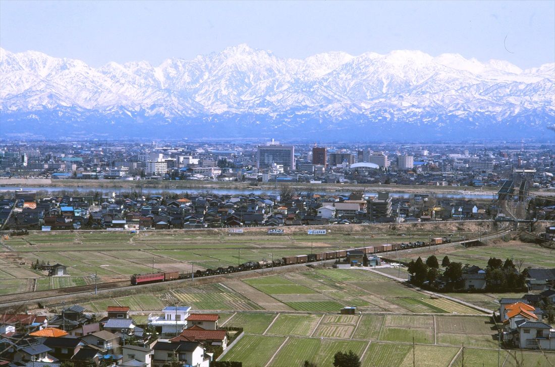 北陸本線呉羽付近を行くEF81形牽引の貨物列車（撮影：南正時）