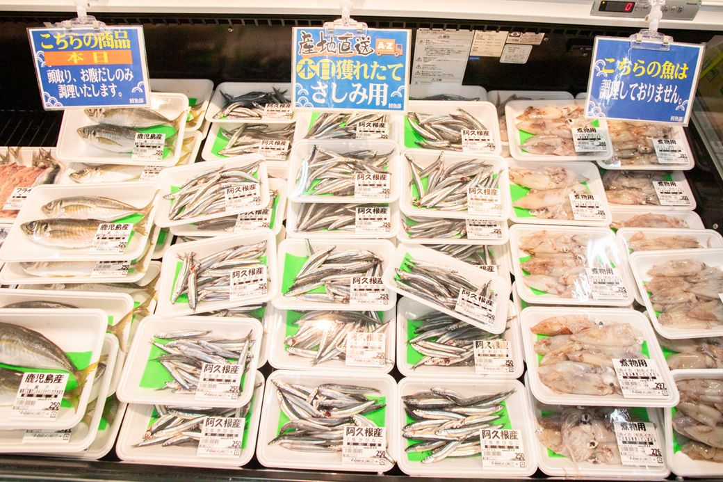 阿久根のバイヤーが魚を直送しており、阿久根でその日水揚げされた鮮度抜群な魚が並ぶ（筆者撮影）