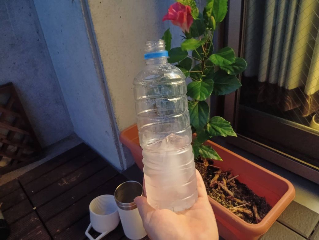 10時間の検証を終えた後にパシャリ。ちなみにハイビスカスは1日花なので、夜には花がつぼんでしまい、翌日には花が枯れてしまう（著者撮影）