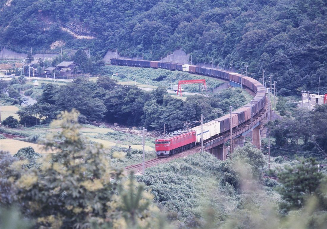 北陸本線の名所「鳩原ループ」を行くEF70形牽引の貨物列車（撮影：南正時）