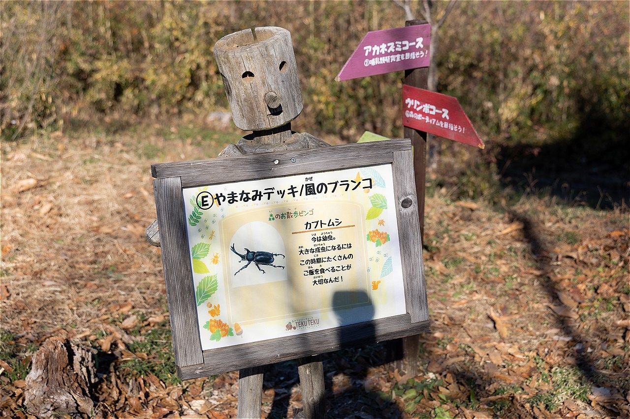 2025年12月にモビリティリゾートもてぎで開催されたホンダの株主優待イベントの様子（写真：三木 宏章）