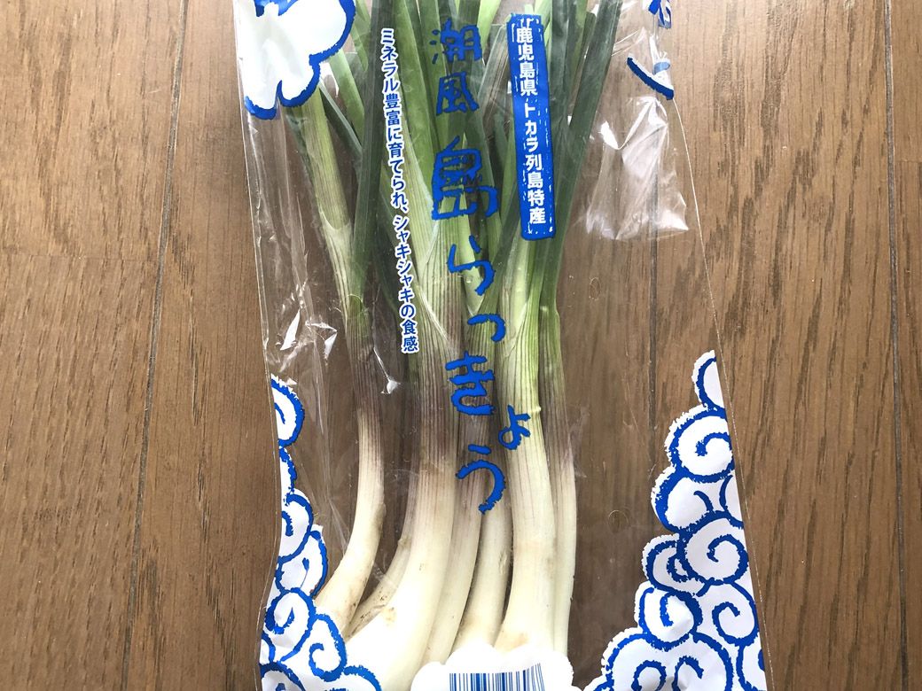 十島村の島らっきょう（筆者撮影）