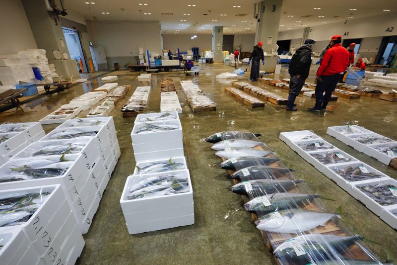 場内には鹿児島の魚介類が集結。日本一の水揚げ量である養殖ブリ、カンパチや種子島・屋久島近海の資源が豊富なのがここの特徴だ（筆者撮影）
