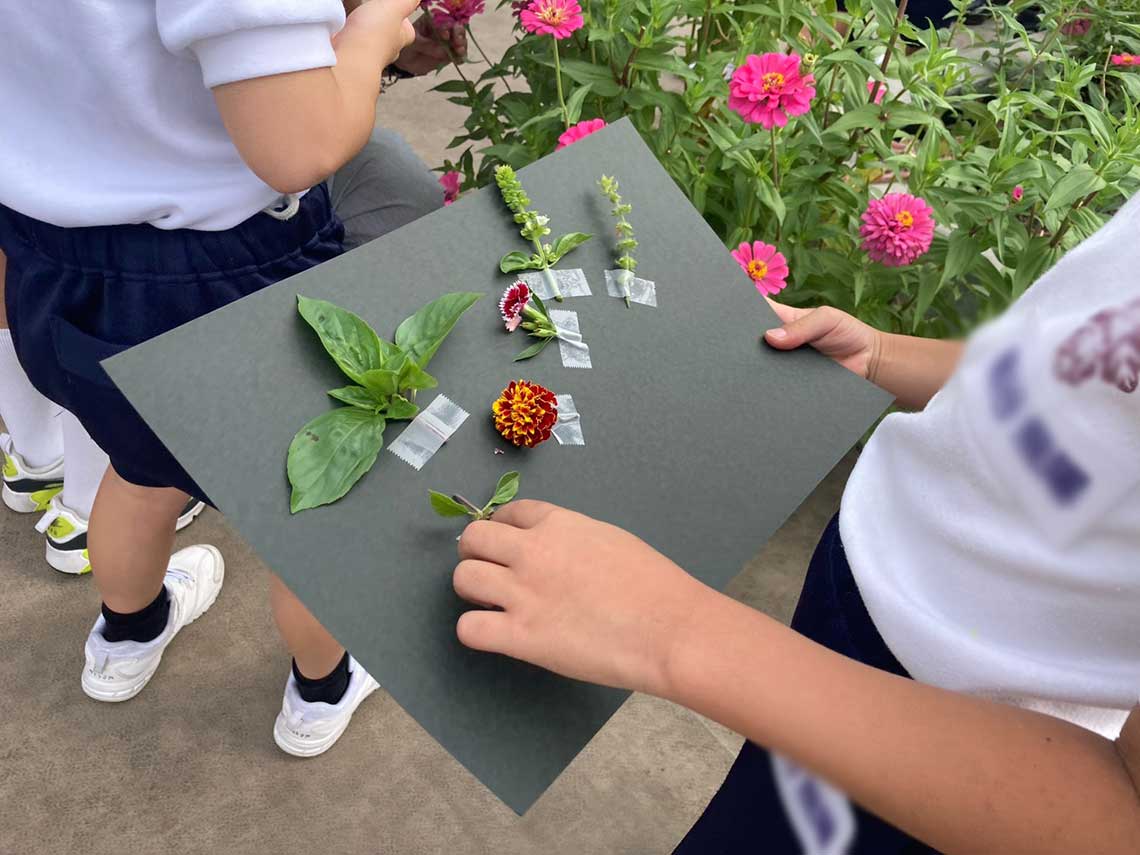 植物を紙に貼る子ども