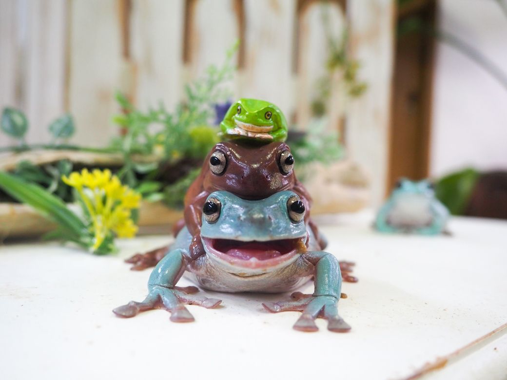 カエルのかわいさを伝えるため、マイさんはYouTubeチャンネルを開設した（写真提供：ぴよさん）