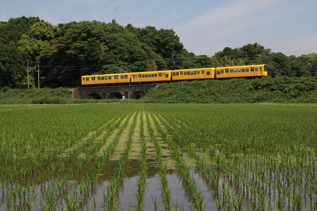 現在の三岐鉄道北勢線（撮影：南正時）