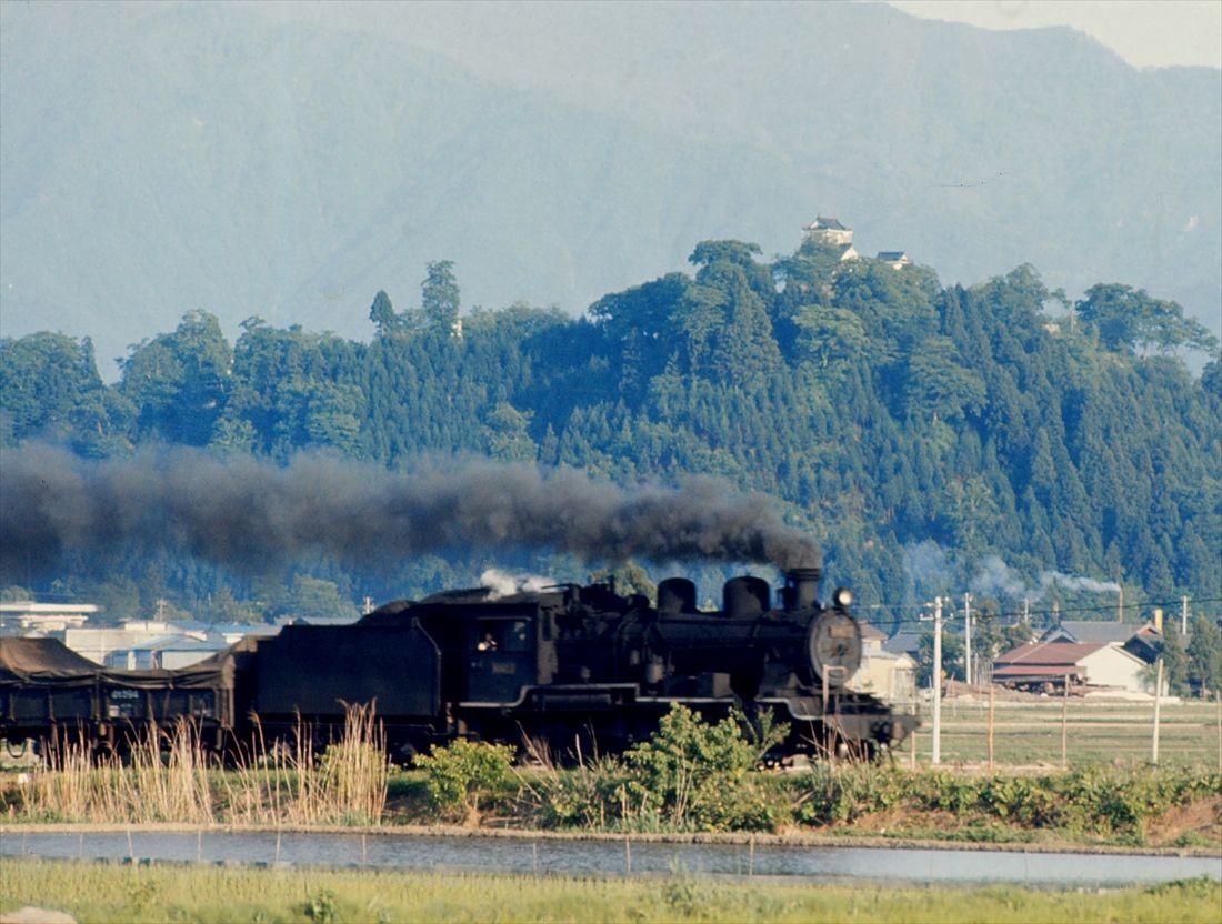 越美北線大野城付近を走る8620形牽引の貨物列車（撮影：南正時）