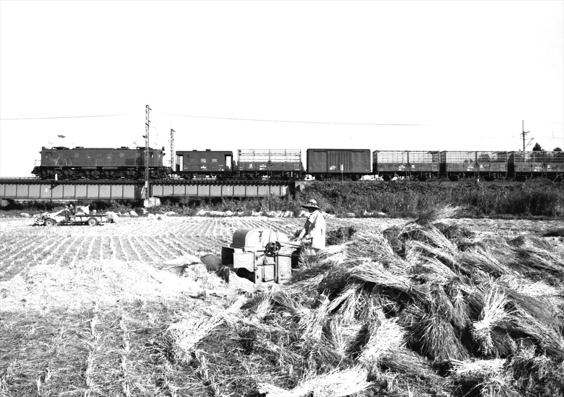 東北本線を走るEF15形牽引の貨物列車（撮影：南正時）