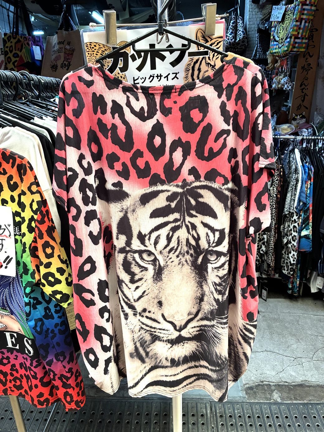 ニヒルなトラの表情がカッコいい一枚（筆者撮影）