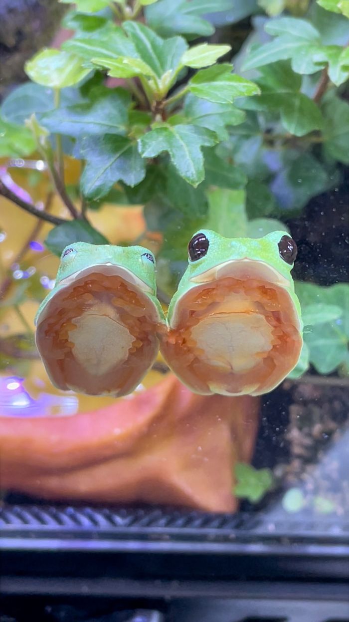 （写真提供：ぴよさん）