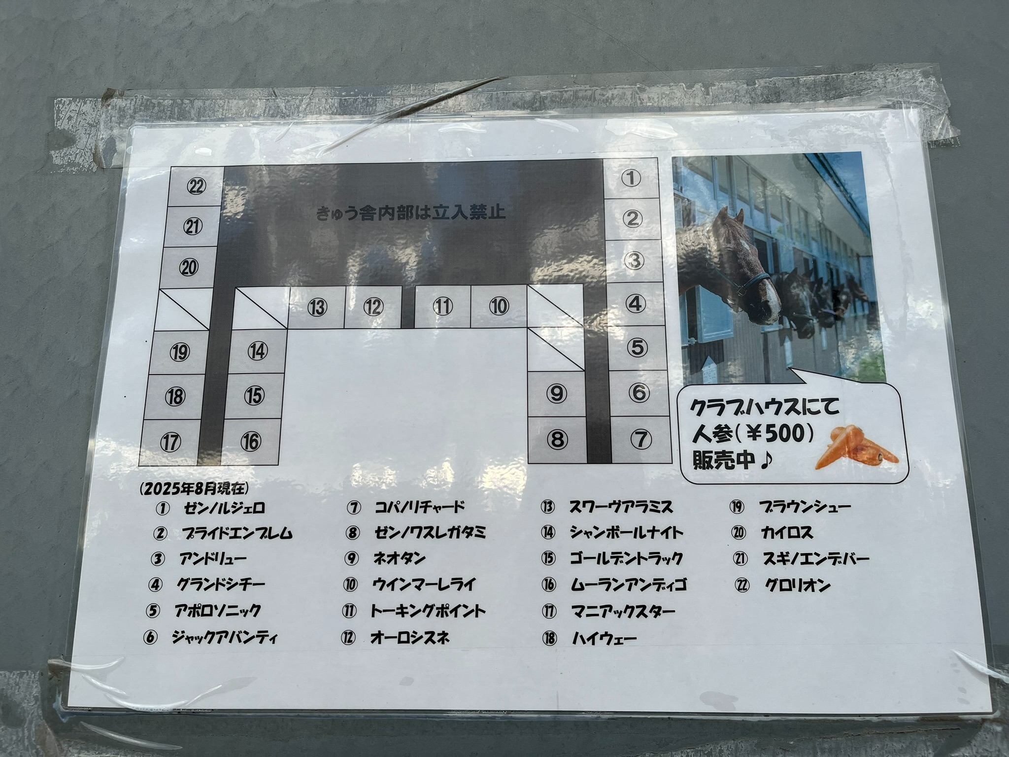 にいかっぷホロシリ乗馬クラブ